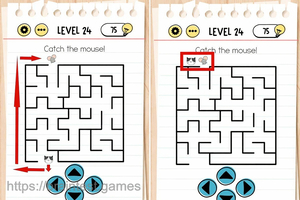 Brain Test Level 24