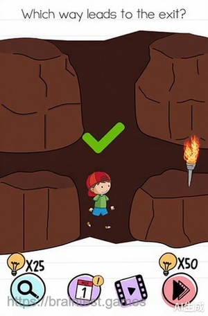 Brain Test Level 295