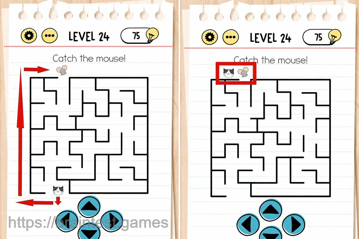 Brain Test Level 24 - Step 1