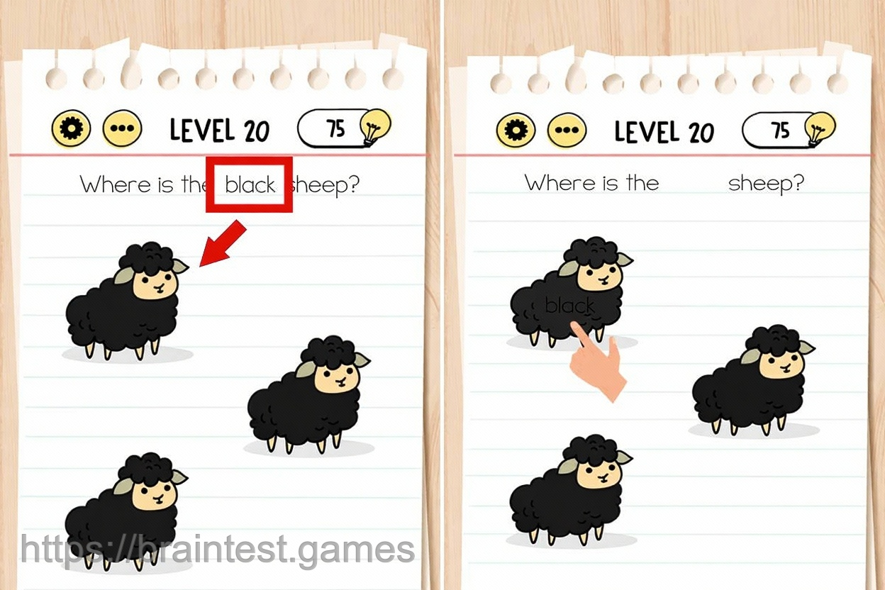 Brain Test Level 20 - Step 1